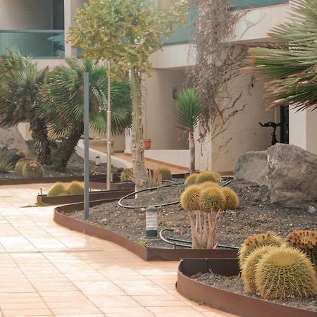 Casa Aloe Vera Cotillo 외부 사진