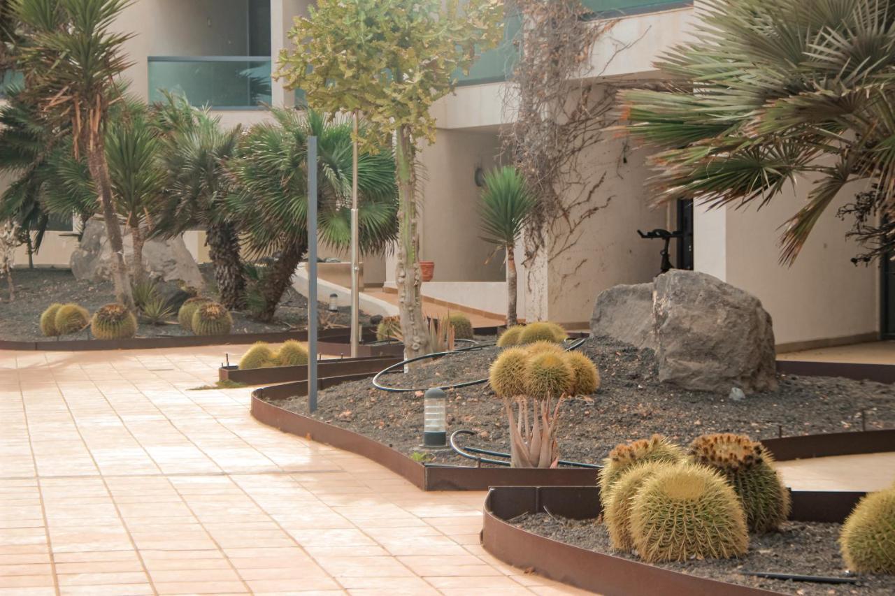 Casa Aloe Vera Cotillo 외부 사진